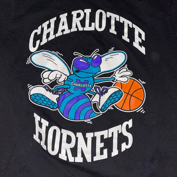 Charlotte Hornets Logo Tee by Mitchell & Ness: Adult Medium: NBA Throwback - Picture 3 of 4